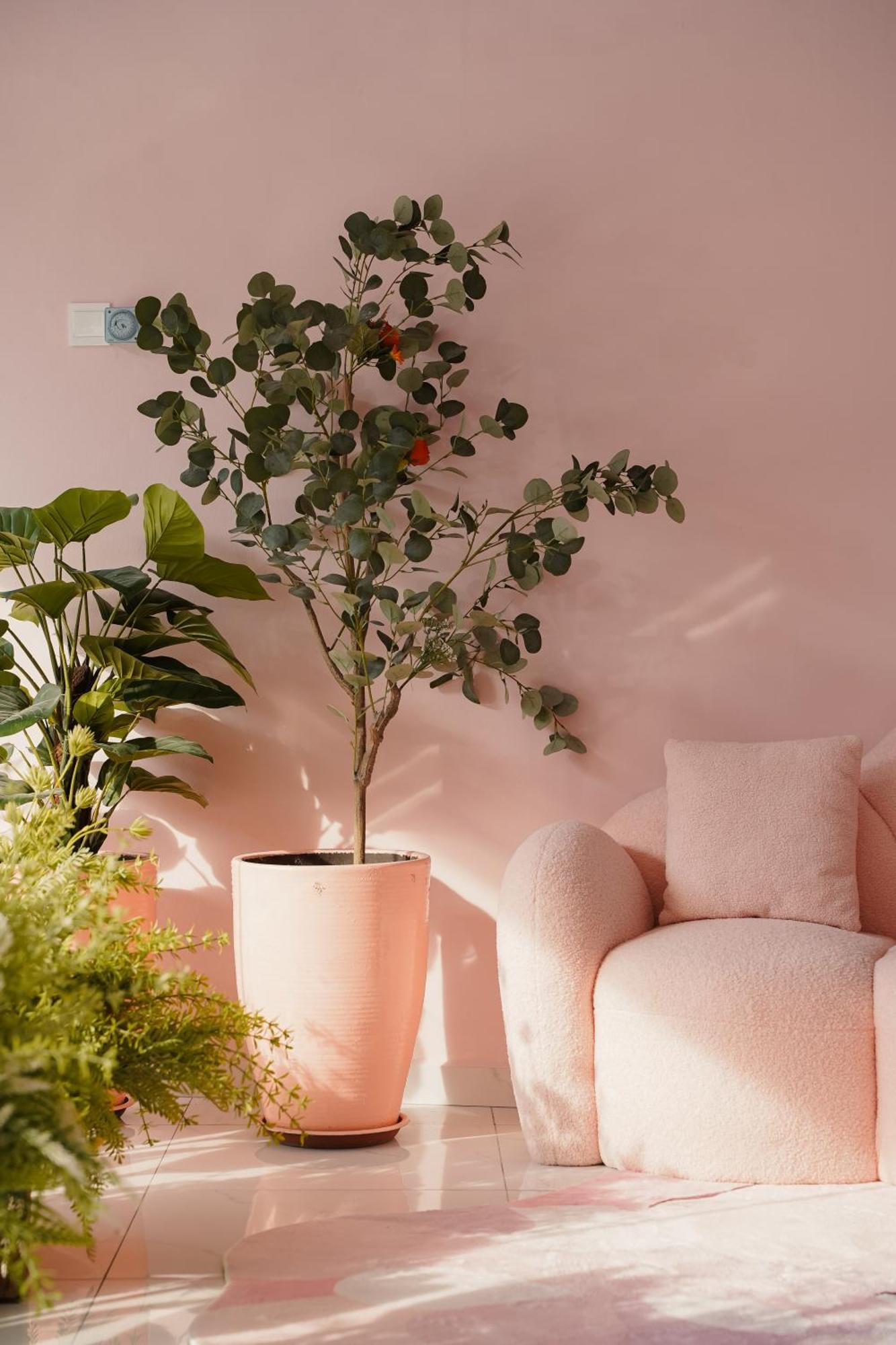 Hostel Pink George Town